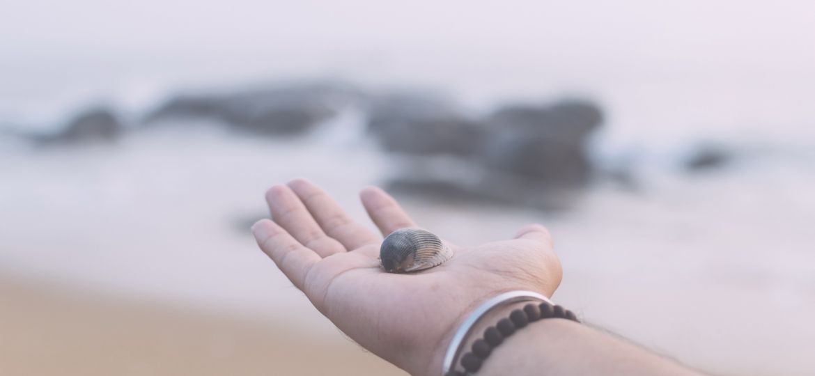 Mindfulness